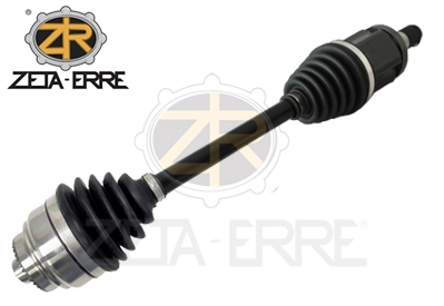 ZR11203