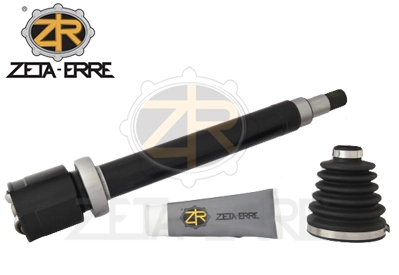ZR8019