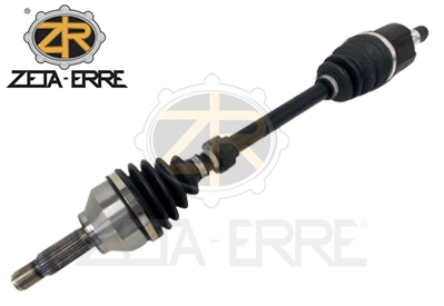 ZR11229