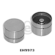 EH9973