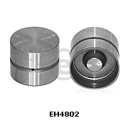 EH4802