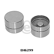EH6299