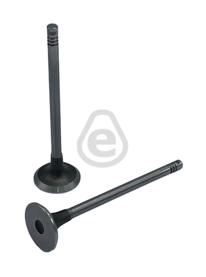 EVI4904