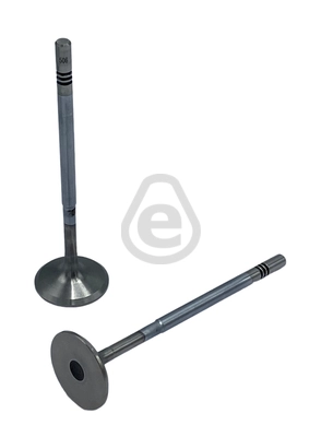 EVI506
