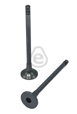 EVI4900