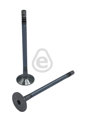 EVI206
