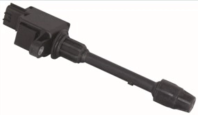 IGC0074