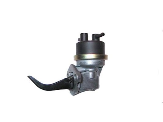 8248COG