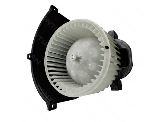 ZD172300A