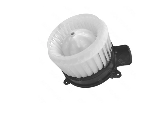ZD172475W