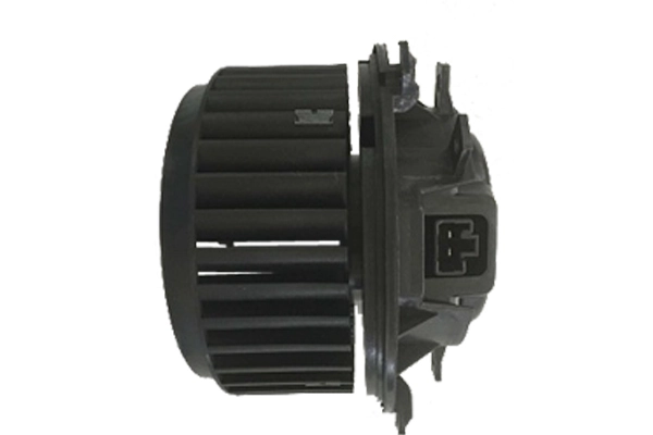 ZD172253