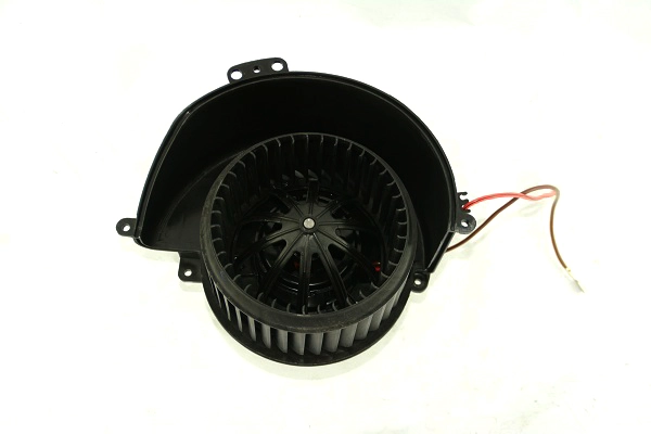 ZD172234