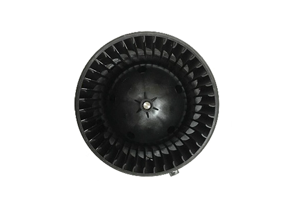 ZD172257