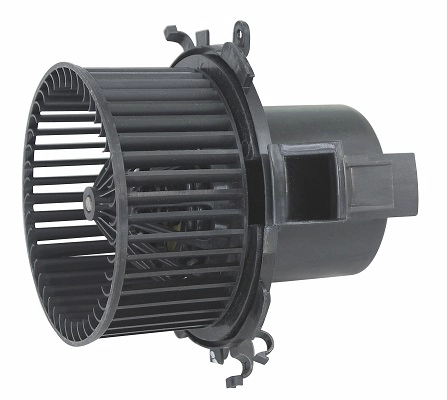 ZD172157