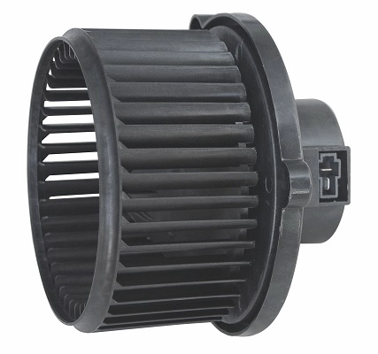 ZD172150
