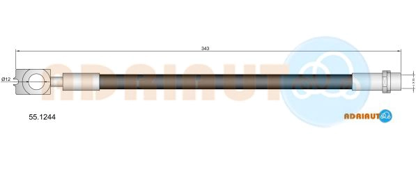 55.1244