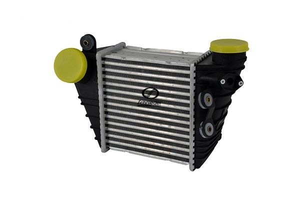 VAS33.00176