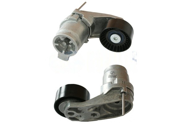 BMS24.00175
