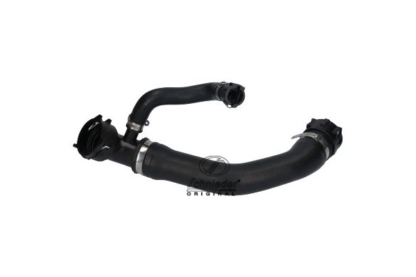 BMS19.00031