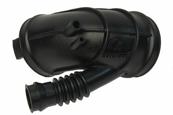 BMS19.00024