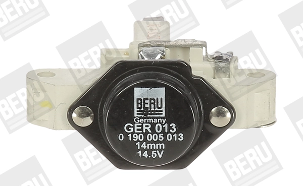 GER013