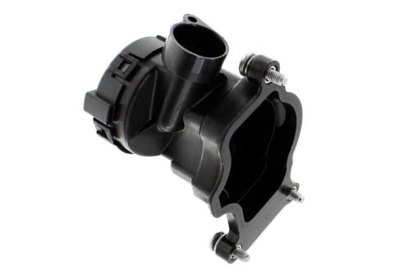 EBV-0006