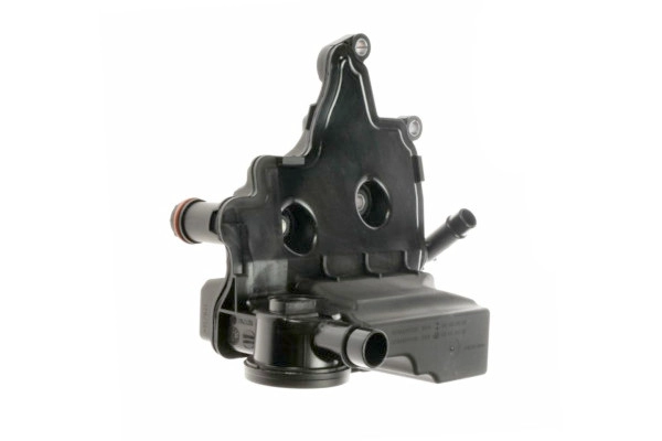 EBV-0029