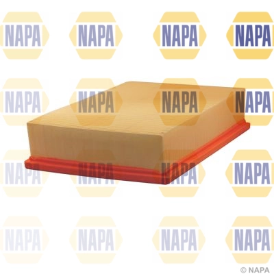NFA1381