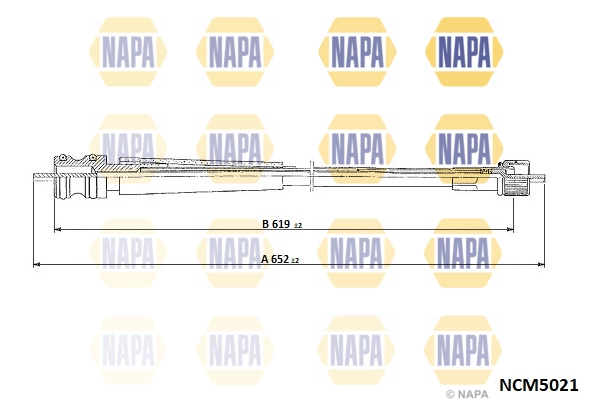 NCM5021