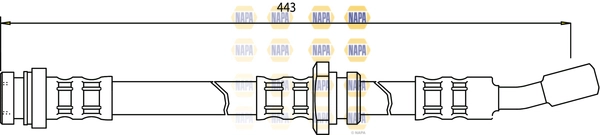 NBH1331