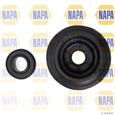 NKM1101