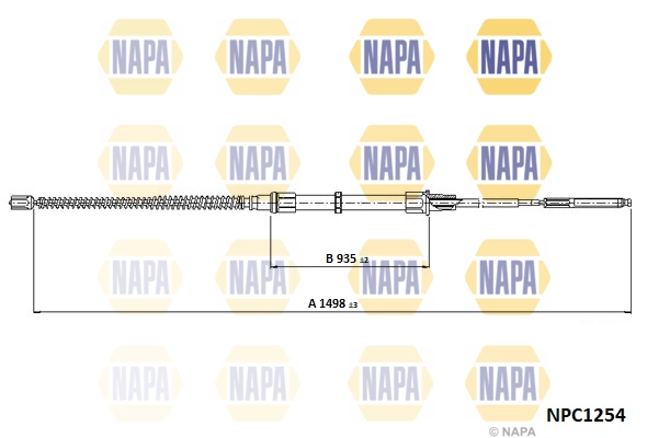 NPC1254