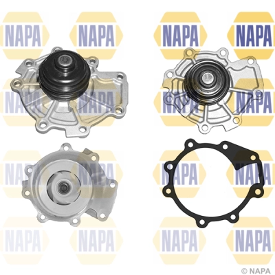NWP1210