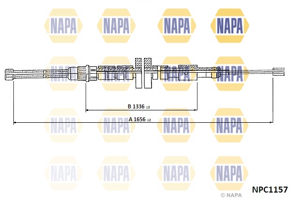 NPC1157