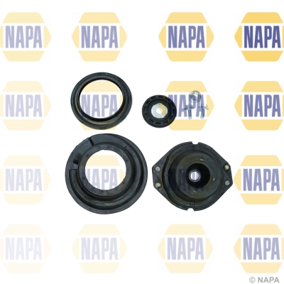 NKM1118