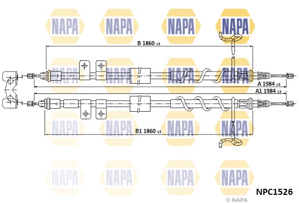 NPC1526