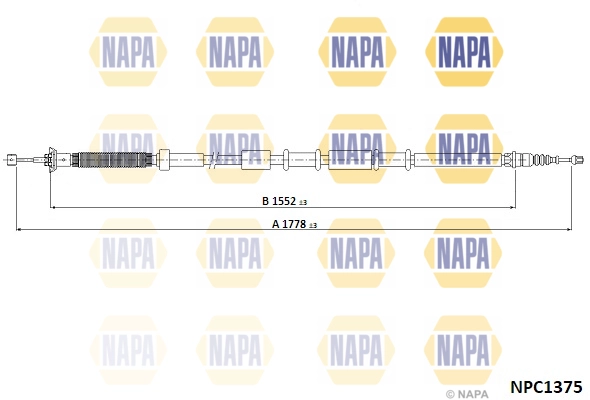 NPC1375