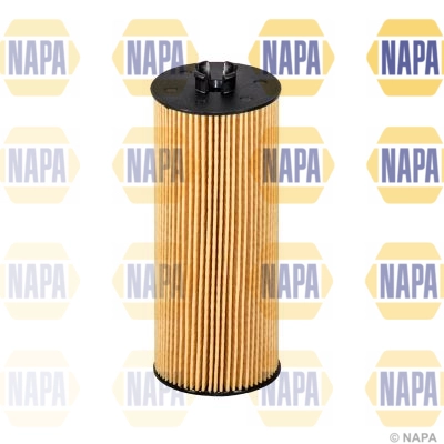 NFO3244