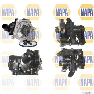 NWP1078