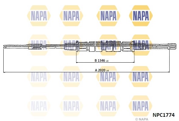 NPC1774