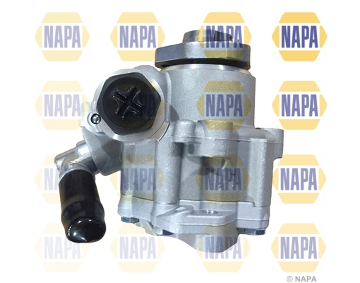 NPS1031