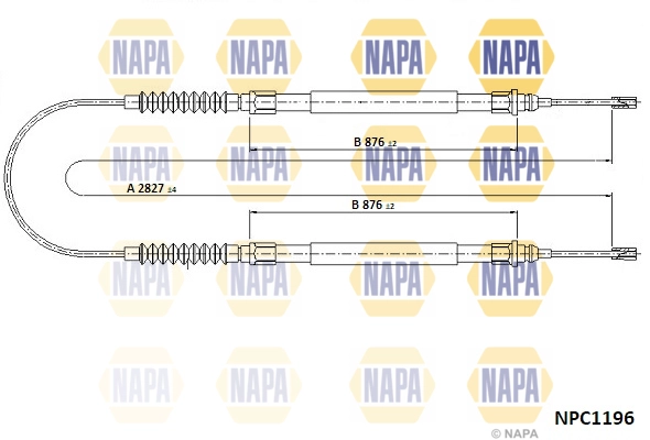NPC1196