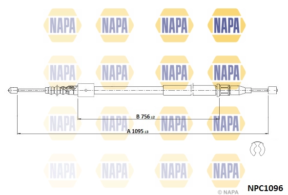 NPC1096