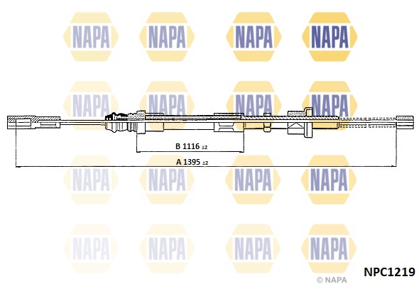 NPC1219
