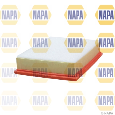 NFA1174