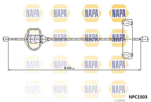 NPC1503