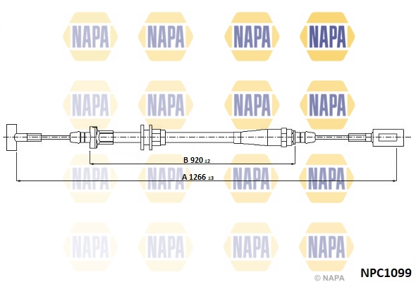 NPC1099