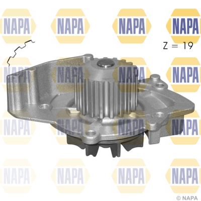 NWP1141