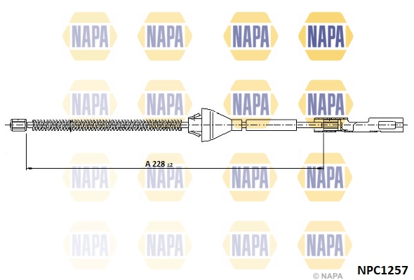 NPC1257