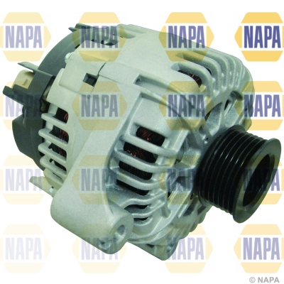 NAL1013